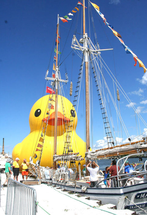 World's Largest Duck Image